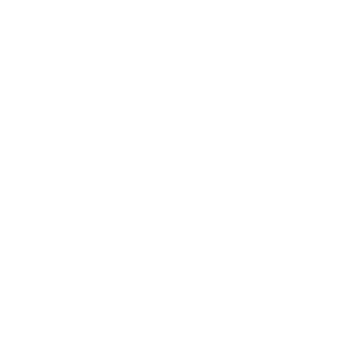 Burst Pipes